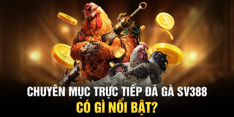 Chuyên mục Trực tiếp đá gà SV388 có gì nổi bật?