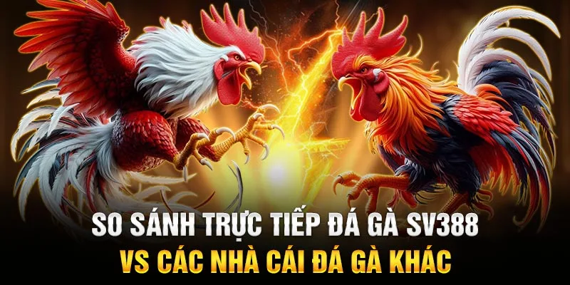 So sánh trực tiếp đá gà SV388 vs các nhà cái đá gà khác