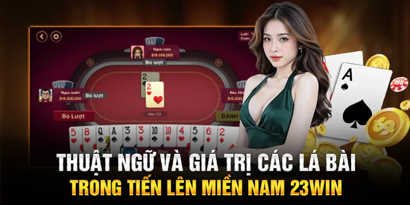 Thuật ngữ và giá trị các lá bài trong tiến lên miền Nam 23WIN
