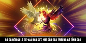 Đá Gà Đòn C1 Là Gì? Giải Mã Sức Hút Của Đấu Trường Gà Đỉnh Cao